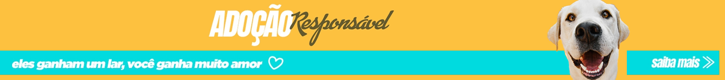 Adoção Responsável